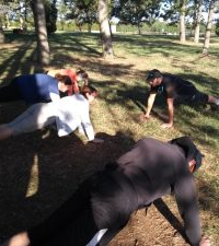 Renforcement Musculaire